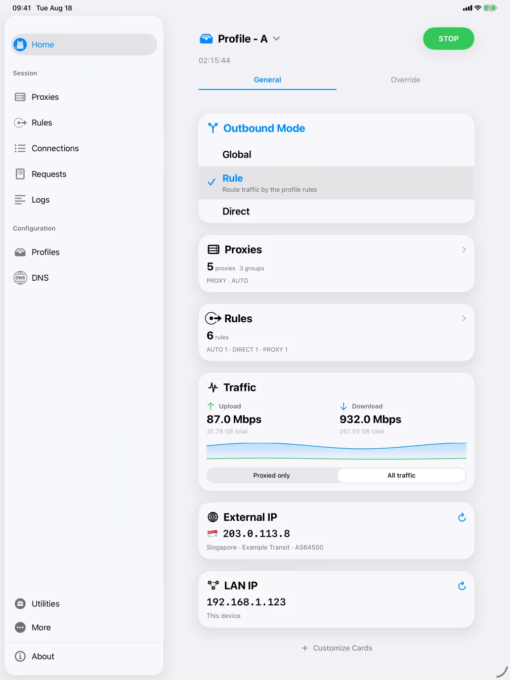 iPad 上以规则模式连接中的首页