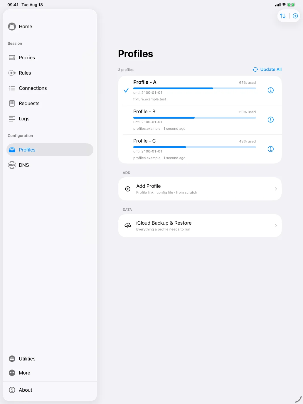 iPad 上的第二套配置首页